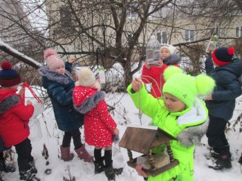 «Как зимой помочь птицам?» 