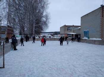 Все выходим на каток, не жалей, ребята, ног!  