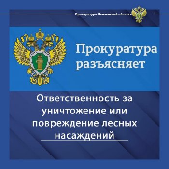 Прокуратура информирует и разъясняет